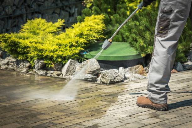 Best Sidewalk and Walkway Cleaning  in Alexandria Bay, NY
